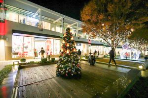 星が丘テラス　クリスマスイルミネーション　12月　名古屋市千種区の観光・撮影スポットの画像と写真