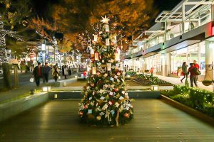 星が丘テラス　クリスマスイルミネーション　12月　名古屋市千種区の観光・撮影スポットの画像と写真