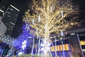 ルーセントタワー　ウインターイルミネーション　12月　冬　名古屋市中村区の観光・撮影スポットの画像と写真