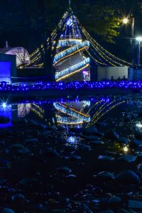 138タワーパーク、イルミネーション、12月冬、愛知県一宮市の観光・撮影スポットの画像と写真