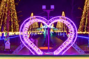 木曽三川公園センター、イルミネーション、12月冬、岐阜県海津市の観光・撮影スポットの画像と写真