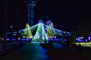 木曽三川公園センター、イルミネーション、12月冬、岐阜県海津市の観光・撮影スポットの画像と写真