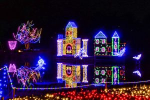 木曽三川公園センター、イルミネーション、12月冬、岐阜県海津市の観光・撮影スポットの画像と写真
