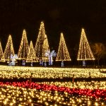 木曽三川公園センター、イルミネーション、12月冬、岐阜県海津市の観光・撮影スポットの画像と写真