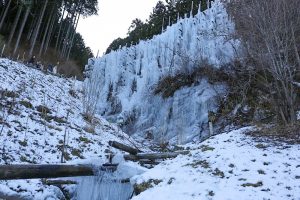 豊田市稲武　氷瀑　大井平公園　湧水広場　2月　愛知県豊田市の観光・撮影スポットの画像と写真