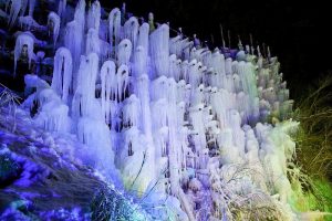 豊田市稲武　氷瀑　大井平公園　湧水広場　2月　愛知県豊田市の観光・撮影スポットの画像と写真
