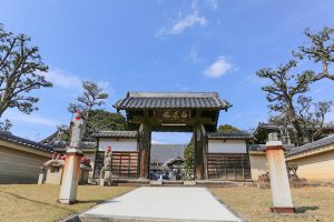 香積院　桜　春の花　3月　名古屋市昭和区の撮影・観光スポットの画像