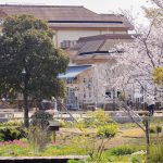 ブルーボネット　春の花　4月　名古屋市港区の観光・撮影スポットの画像と写真