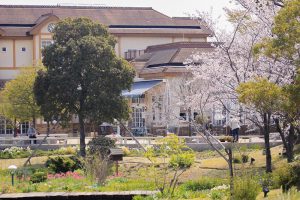 ブルーボネット　春の花　4月　名古屋市港区の観光・撮影スポットの画像と写真