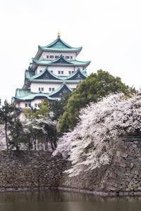 名古屋城、桜、3月の春の花、名古屋市の観光・撮影スポットの画像と写真