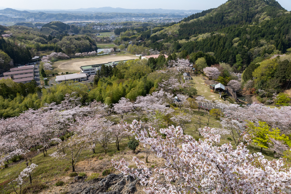 蘭丸のふるさと、桜、4月春の花、岐阜県可児市の観光・撮影スポットの名所