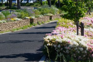 フローラルガーデンよさみ、つつじ、4月の春の花、愛知県刈谷市の観光・撮影スポットの画像と写真