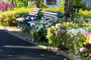 フローラルガーデンよさみ、つつじ、4月の春の花、愛知県刈谷市の観光・撮影スポットの画像と写真
