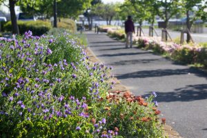 フローフローラルガーデンよさみ、4月の春の花、愛知県刈谷市の観光・撮影スポットの画像と写真