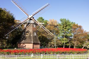 名城公園、オランダ風車、フラワープラザ、10月の秋の花、名古屋市北区の観光・撮影スポットの画像と写真
