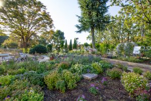 名城公園、フラワープラザ、10月の秋の花、名古屋市北区の観光・撮影スポットの画像と写真