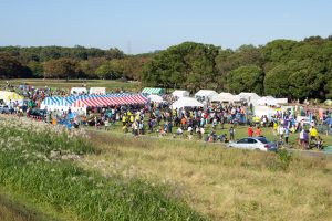 庄内緑地公園、コスモス、マラソン大会、10月の秋の花、名古屋市西区の観光・撮影スポットの画像と写真