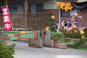 愛知牧場、ハロウィン、10月の秋の花、愛知県日進市の観光・撮影スポットの画像と写真