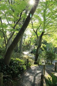 六華苑、日本庭園、9月、三重県桑名市の観光・撮影スポットの画像と写真