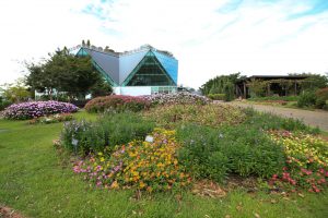 江南フラワーパーク、9月の秋の花、愛知県江南市の観光・撮影スポットの画像と写真