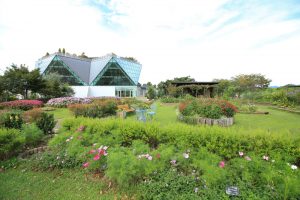 江南フラワーパーク、9月の秋の花、愛知県江南市の観光・撮影スポットの画像と写真