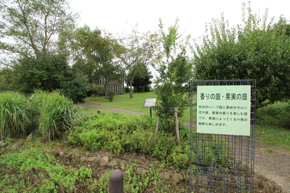 江南フラワーパーク、、香りの庭、9月の秋の花、愛知県江南市の観光・撮影スポットの画像と写真