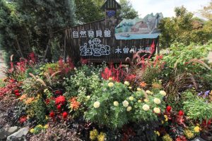 河川環境楽園オアシスパーク、木曽川水園、9月の秋の花、岐阜県各務原市の観光・撮影スポットの画像と写真