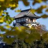 犬山城、イチョウ、秋、11月、愛知県犬山市の観光・撮影スポットの画像と写真