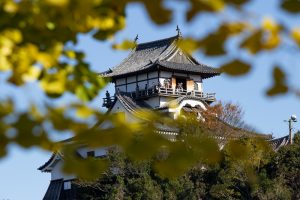 犬山城、イチョウ、秋、11月、愛知県犬山市の観光・撮影スポットの画像と写真
