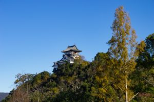 犬山城、紅葉、秋、11月、愛知県犬山市の観光・撮影スポットの画像と写真