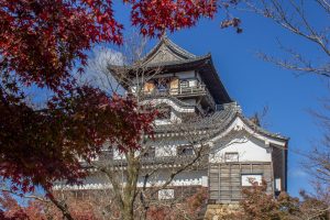 犬山城、紅葉、秋、11月、愛知県犬山市の観光・撮影スポットの画像と写真