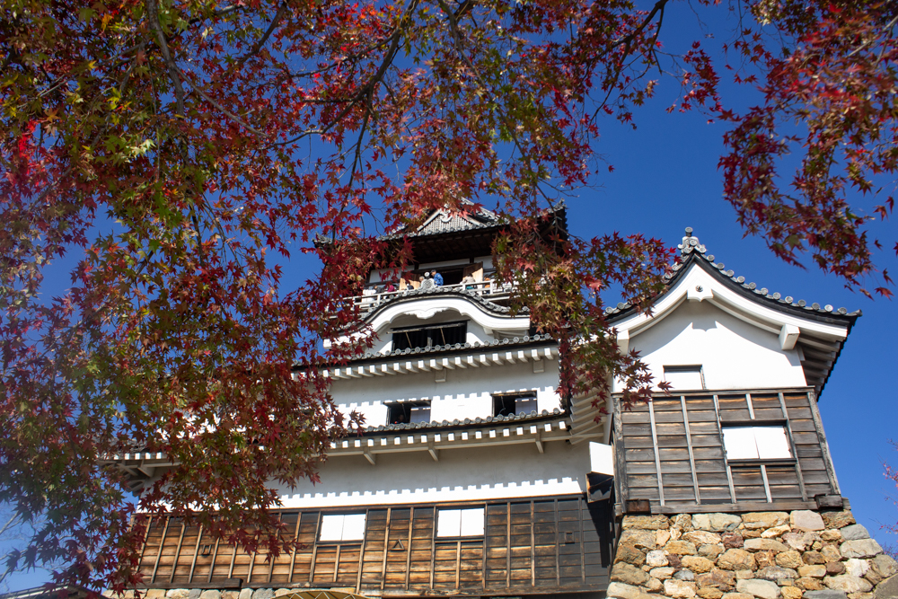 犬山城、紅葉、秋、11月、愛知県犬山市の観光・撮影スポットの画像と写真