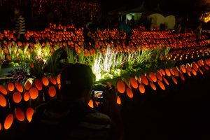安城産業文化公園 デンパーク、仲秋のあかり祭、竹あかり、ライトアップ、9月、秋、愛知県安城市の観光・撮影スポットの画像と写真