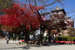 犬山城、紅葉、秋、11月、愛知県犬山市の観光・撮影スポットの画像と写真