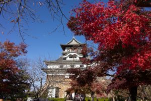 犬山城、紅葉、秋、11月、愛知県犬山市の観光・撮影スポットの画像と写真