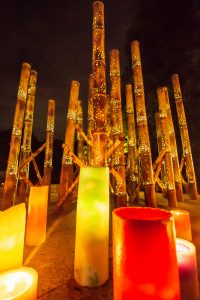 安城産業文化公園 デンパーク、仲秋のあかり祭、竹あかり、ライトアップ、9月、秋、愛知県安城市の観光・撮影スポットの画像と写真
