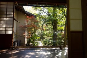有楽苑 、紅葉、日本庭園、11月、秋、愛知県犬山市の観光・撮影スポットの画像と写真