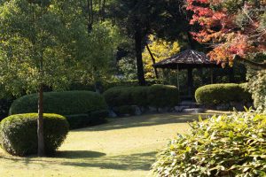 有楽苑 、紅葉、日本庭園、11月、秋、愛知県犬山市の観光・撮影スポットの画像と写真