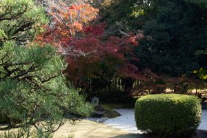 有楽苑 、紅葉、日本庭園、11月、秋、愛知県犬山市の観光・撮影スポットの画像と写真