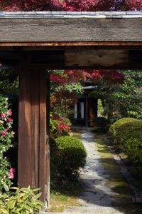 有楽苑 、紅葉、日本庭園、11月、秋、愛知県犬山市の観光・撮影スポットの画像と写真