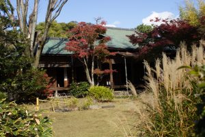 有楽苑 、紅葉、日本庭園、11月、秋、愛知県犬山市の観光・撮影スポットの画像と写真