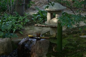 有楽苑 、紅葉、日本庭園、11月、秋、愛知県犬山市の観光・撮影スポットの画像と写真