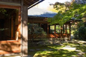有楽苑 、紅葉、日本庭園、11月、秋、愛知県犬山市の観光・撮影スポットの画像と写真