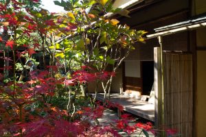 有楽苑 、紅葉、日本庭園、11月、秋、愛知県犬山市の観光・撮影スポットの画像と写真