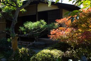 有楽苑 、紅葉、日本庭園、11月、秋、愛知県犬山市の観光・撮影スポットの画像と写真