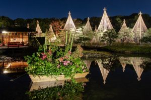 白鳥庭園、観楓会、雪吊り、紅葉、ライトアップ、11月、秋、名古屋市熱田区の観光・撮影スポットの画像と写真