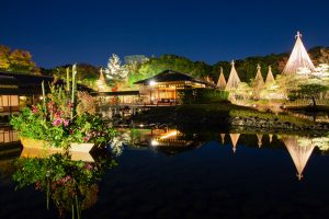 白鳥庭園、観楓会、雪吊り、紅葉、ライトアップ、11月、秋、名古屋市熱田区の観光・撮影スポットの画像と写真