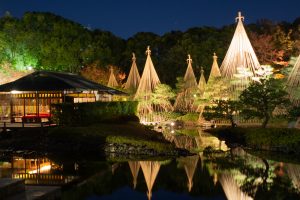 白鳥庭園、観楓会、雪吊り、紅葉、ライトアップ、11月、秋、名古屋市熱田区の観光・撮影スポットの画像と写真