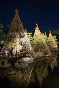 白鳥庭園、観楓会、雪吊り、紅葉、ライトアップ、11月、秋、名古屋市熱田区の観光・撮影スポットの画像と写真