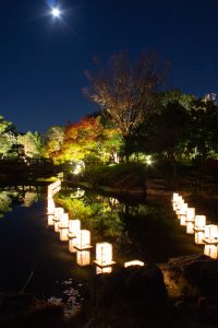 白鳥庭園、あかりアート、観楓会、紅葉、ライトアップ、11月、秋、名古屋市熱田区の観光・撮影スポットの画像と写真